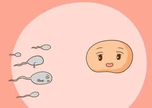 怀孕后生化了是什么意思，怀孕生化后能做试管吗？