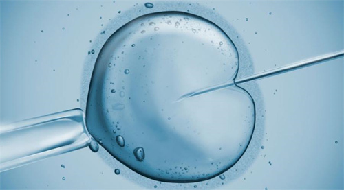 试管取卵14个为什么一个胚胎都没配成功