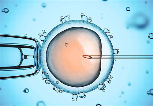 能正常排卵，为什么还要进行试管婴儿助孕？