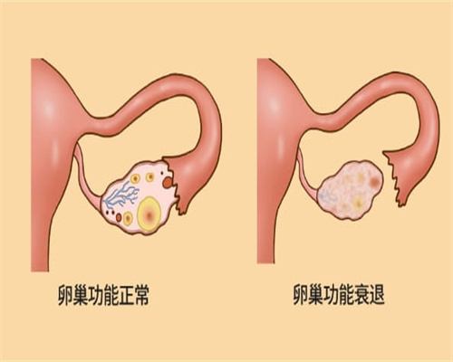 试管囊胚移植后哪天白板是正常的，不要放弃希望还能怀孕