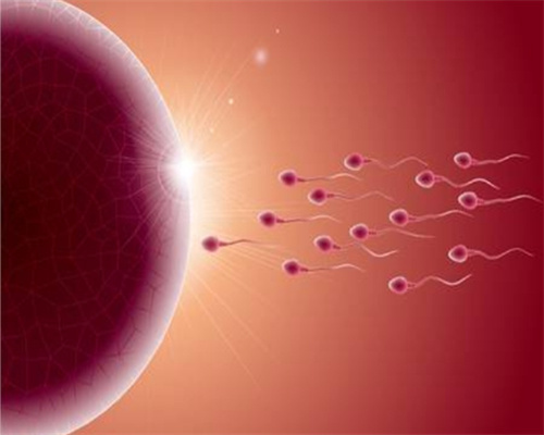 生精片的四大功效介绍，备孕期间的家庭建议收藏